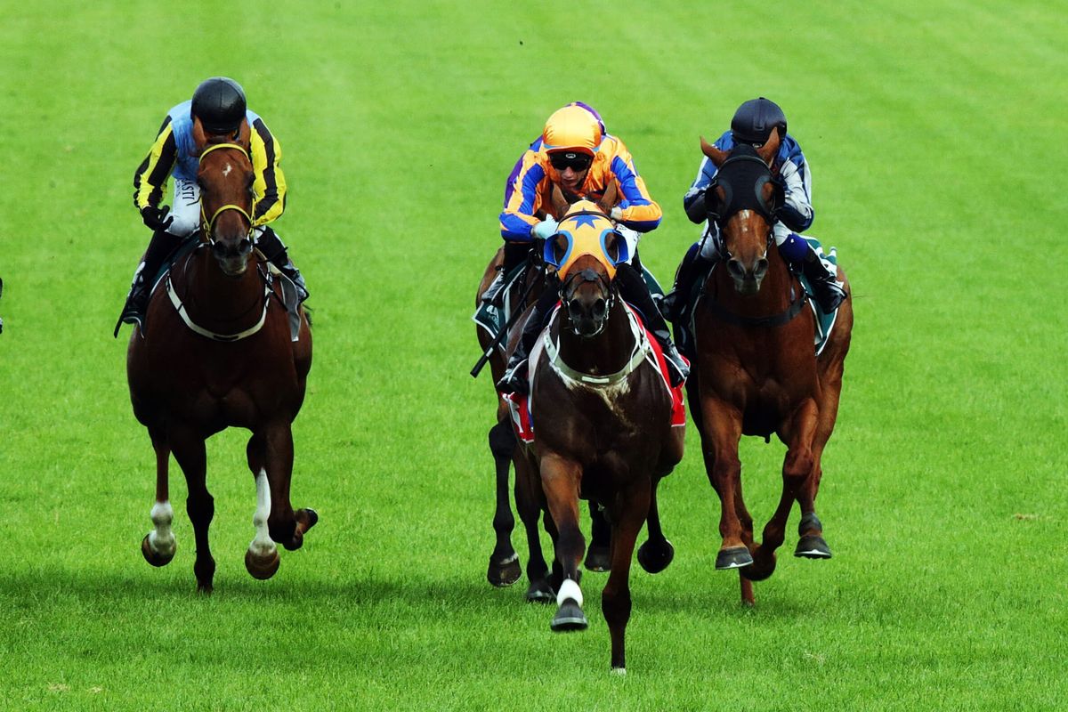 Ellerslie double caps strong week for Richards