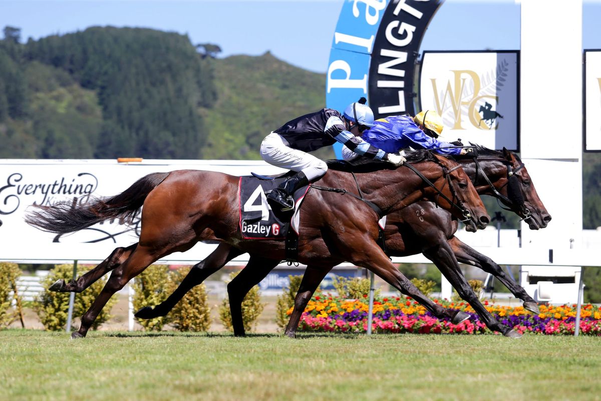 Karaka First Crop Sire - Puccini