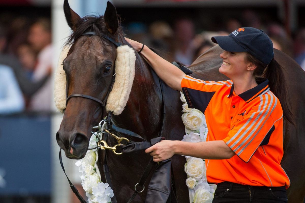 Passion to the fore during festive season