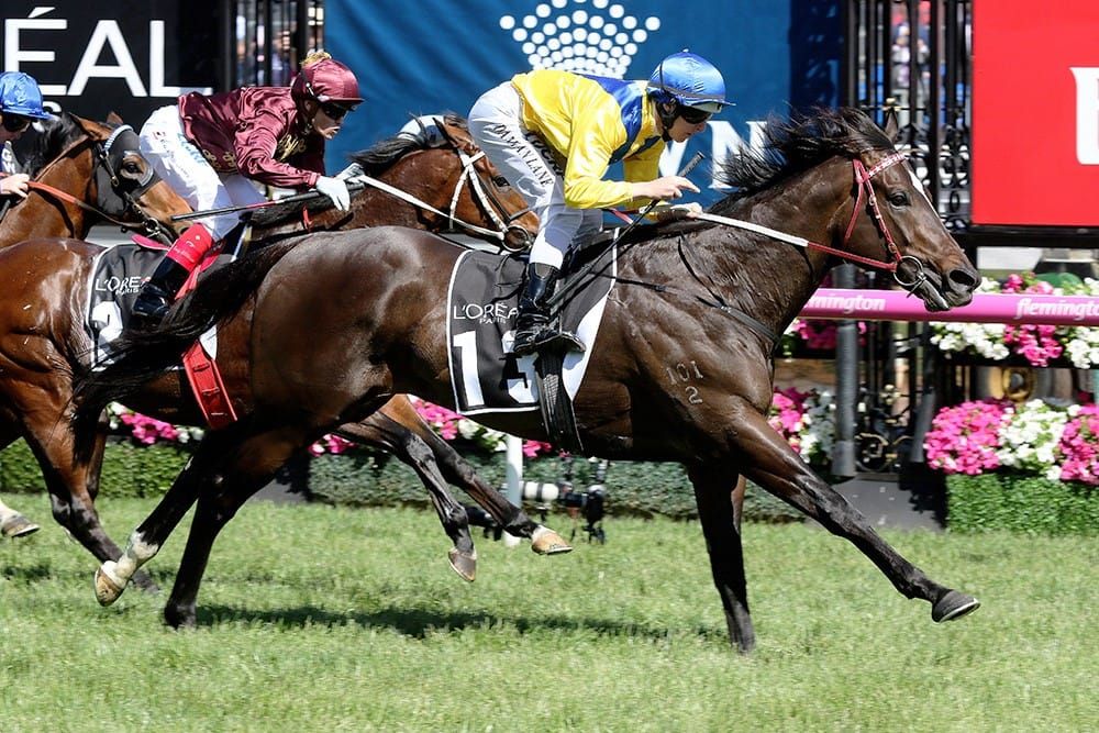 Karaka First Crop Sire - Rageese