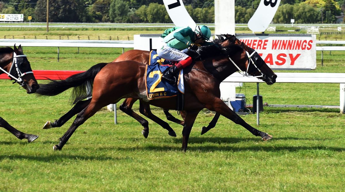 Scorpz preparing well as Marsh seeks to extend Derby reign