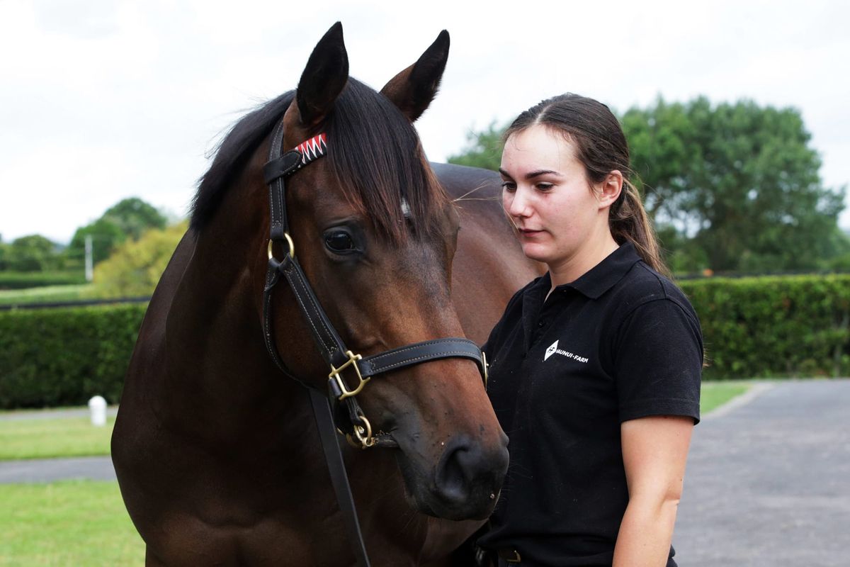 Haunui stallions to make presence felt at Karaka