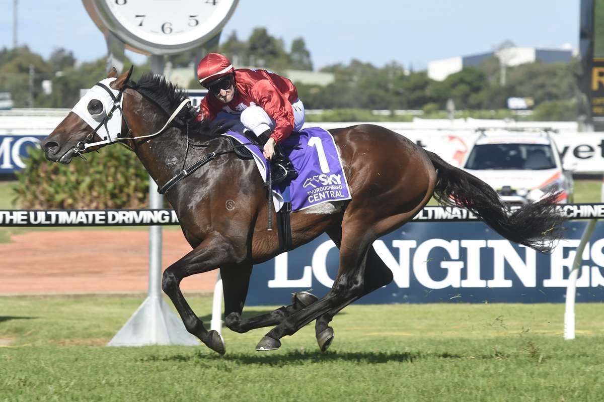 Karaka First Crop Sire - Tarzino