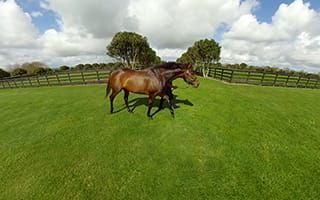 NZB Pioneers Technology for Future of the Industry