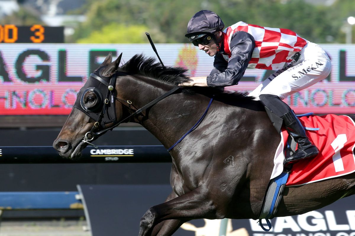 AUDIO: Peter McKay