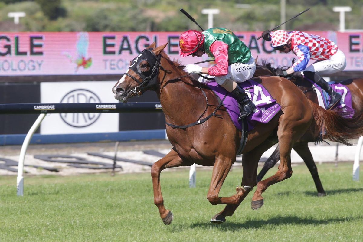 Young trainer vying for Boxing Day repeat
