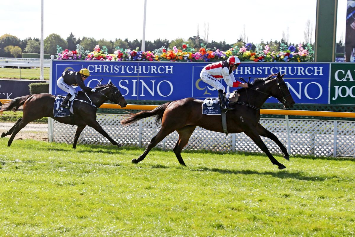 Court looking to get the Upperhand in Southland