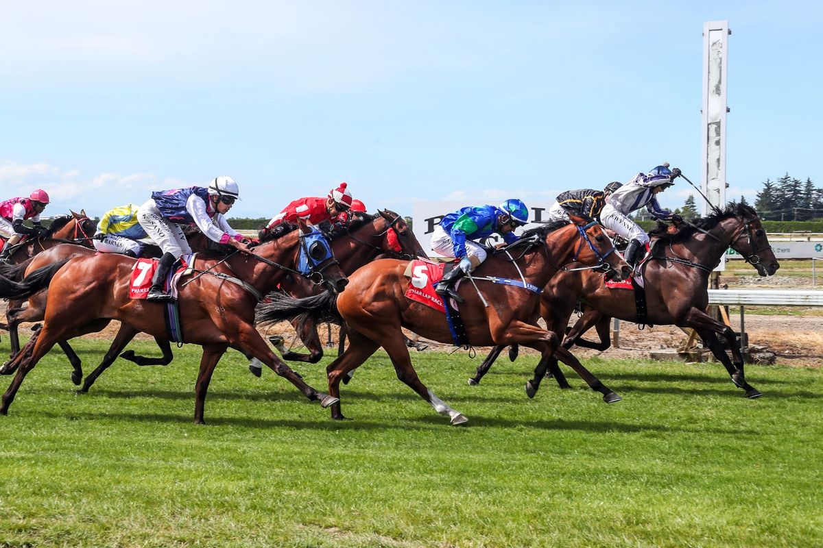Topweight takes Timaru Cup