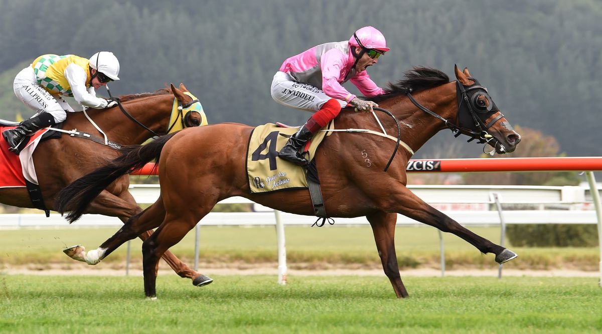 Otaki likely for Wyndspelle