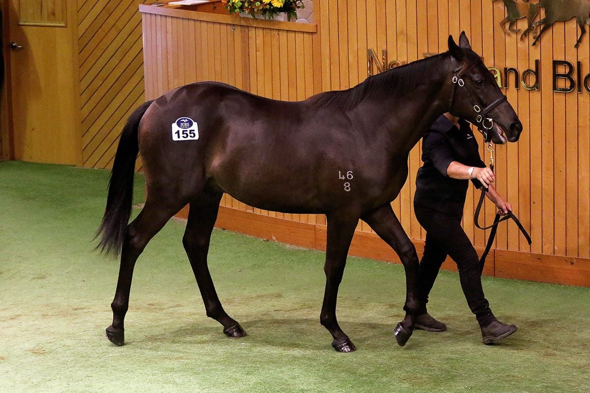 Pierro colt leads the way on day one
