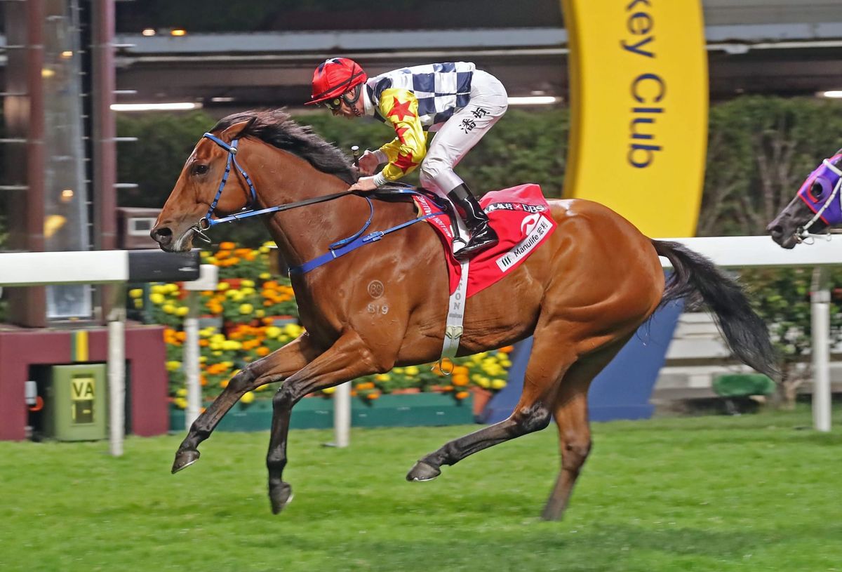 Amazing Star dazzles for Purton and Ting at the Valley