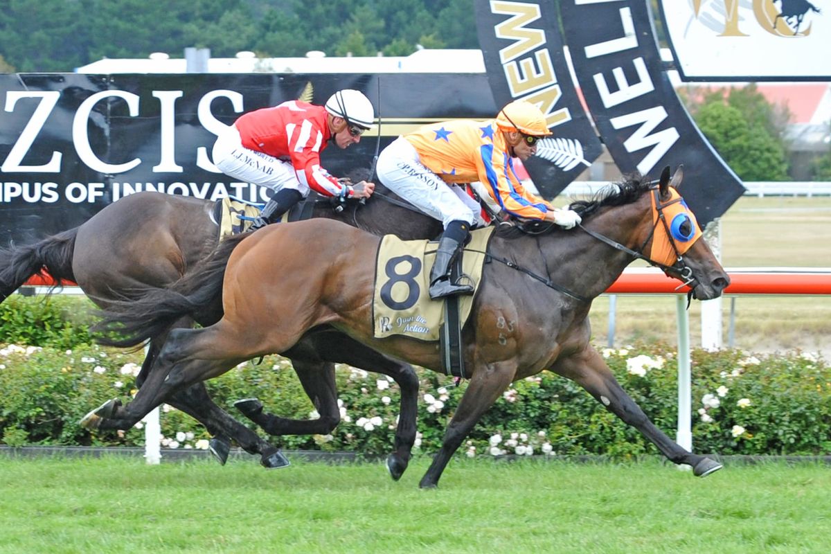 Business as usual for the King of Karaka