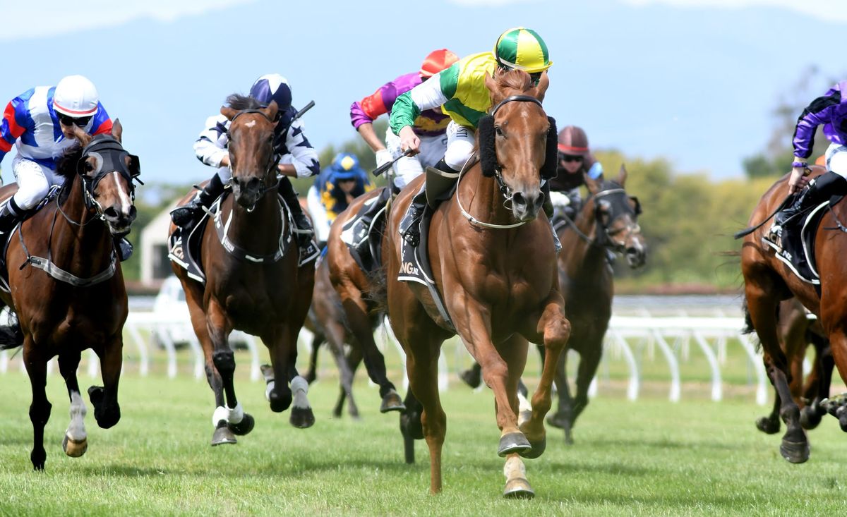 Beauden best on favourite track