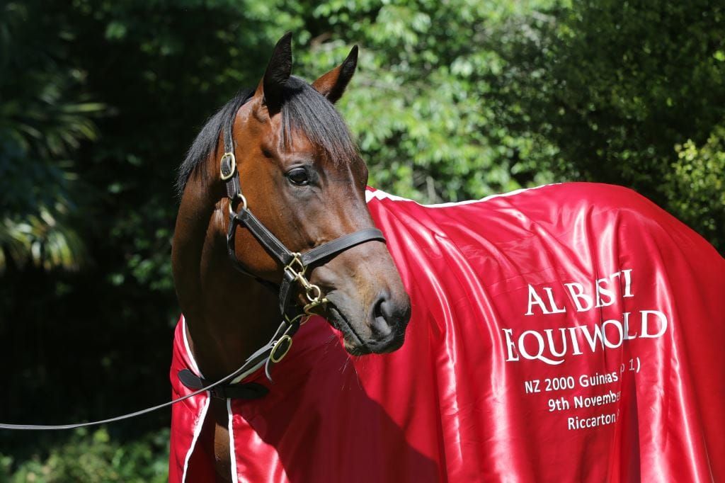 Catalyst to head sales boost for The Oaks Stud