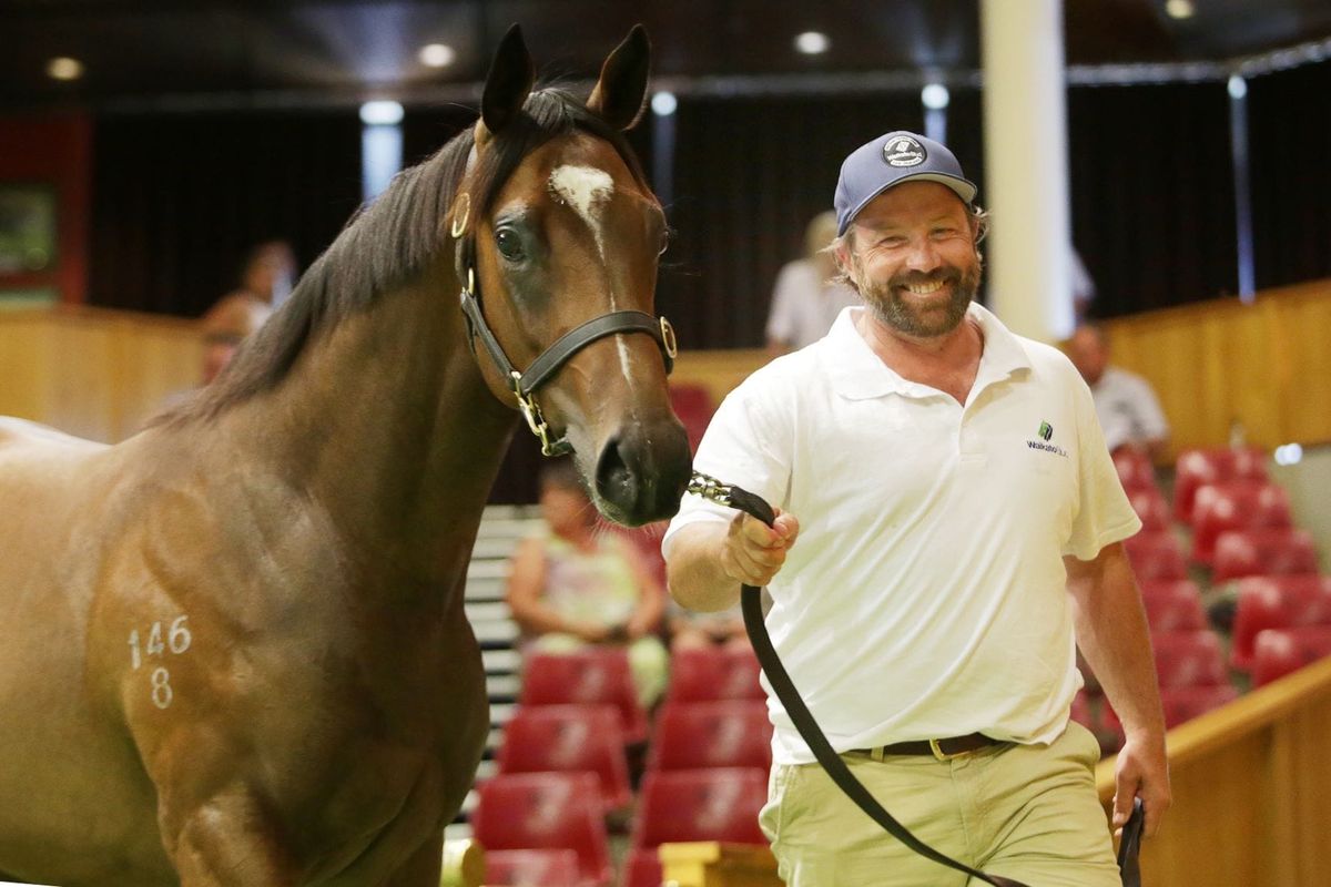 Waikato Stud on top again at Karaka
