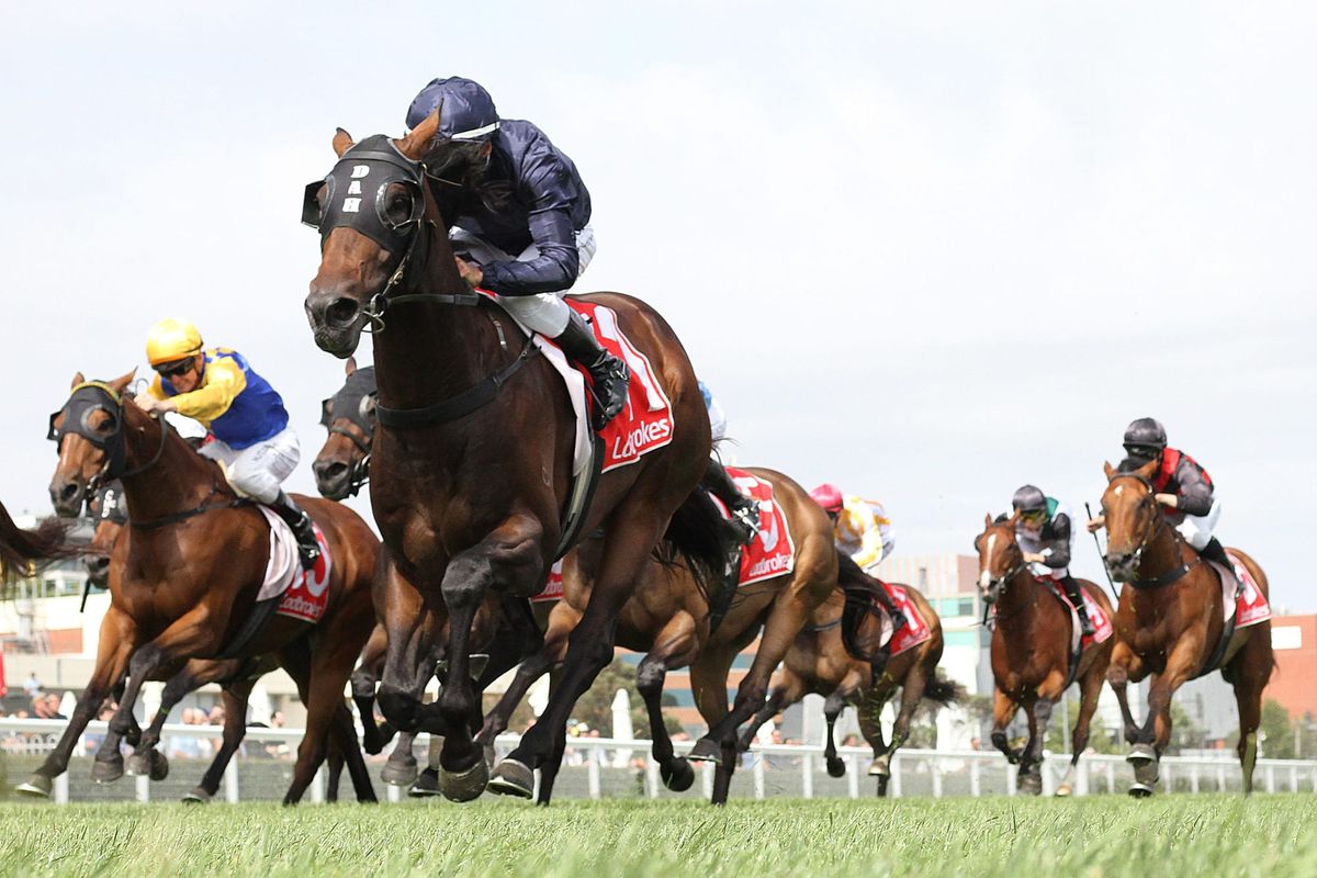 Hayes keen to conquer Ellerslie again