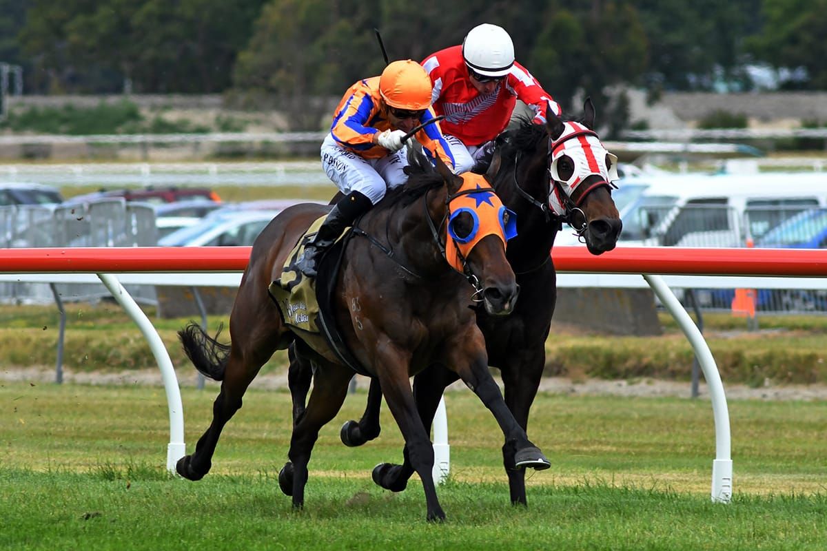 Enzo’s Lad just inches short of Trentham three-peat