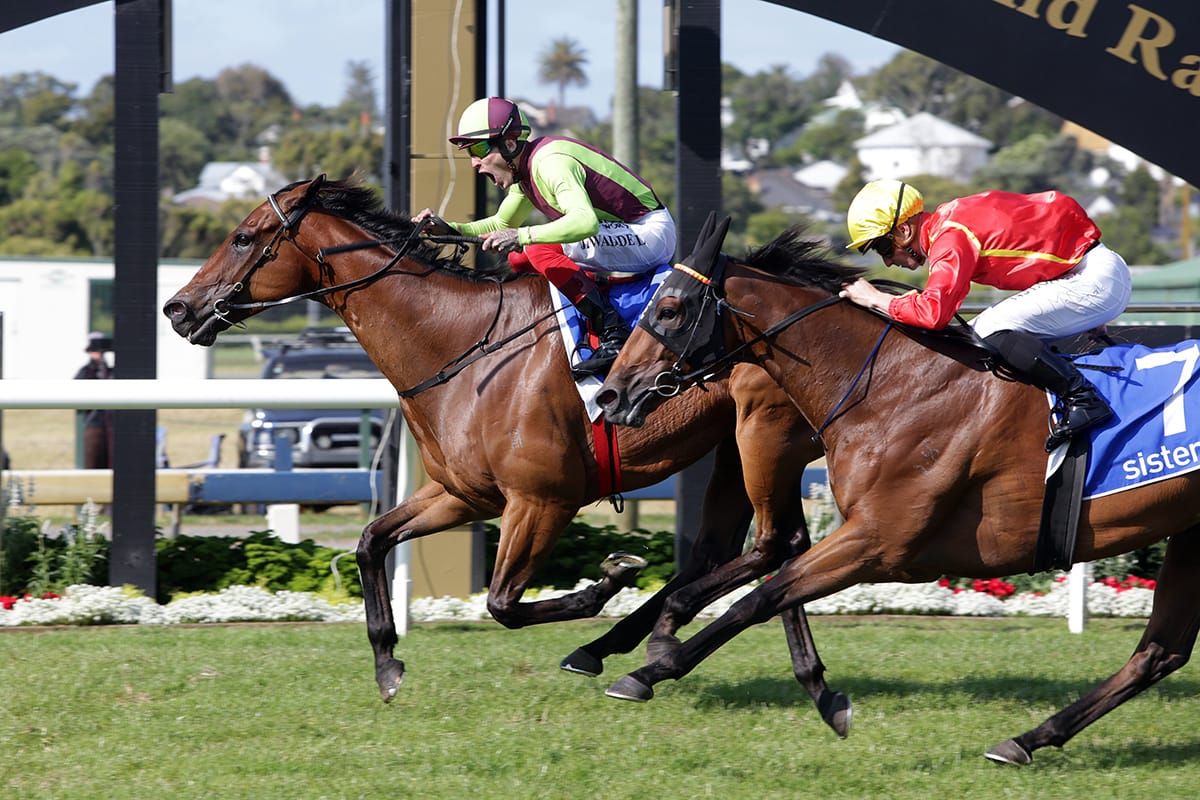 Comeback complete for Cambridge champ