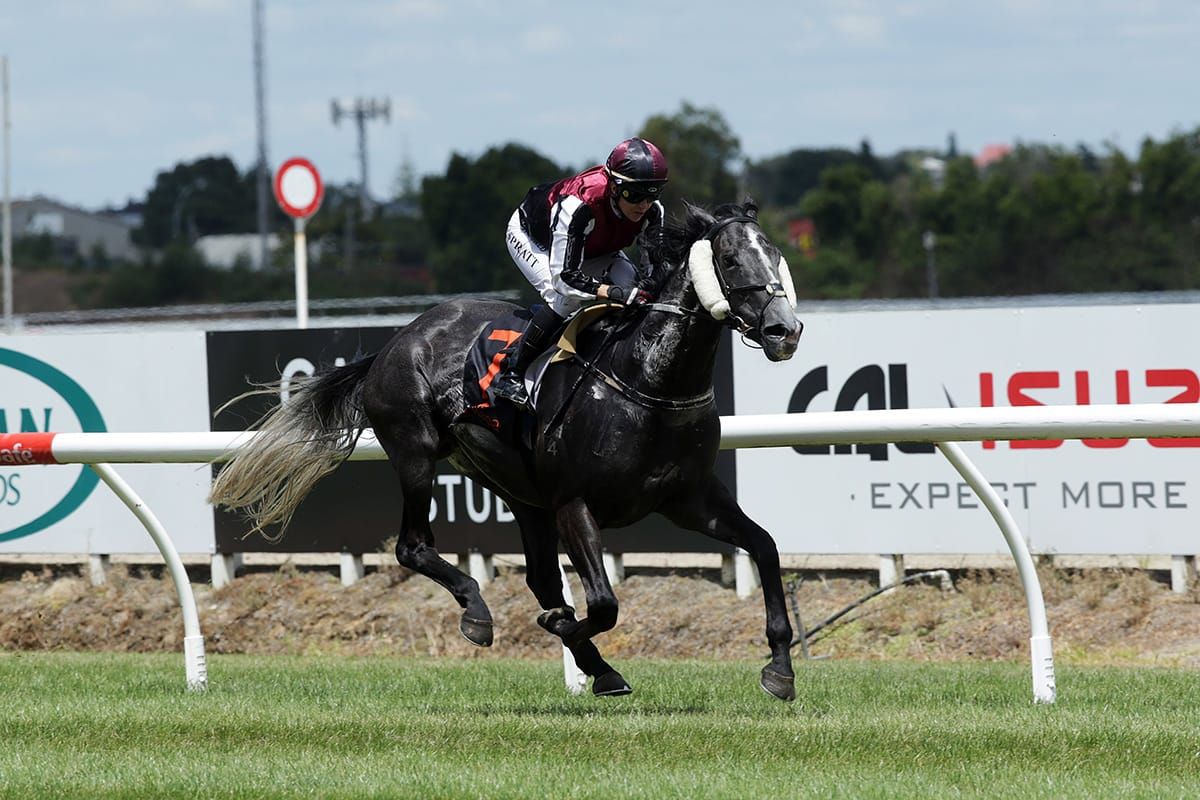 Wellington Cup immediate target for Justamaiz