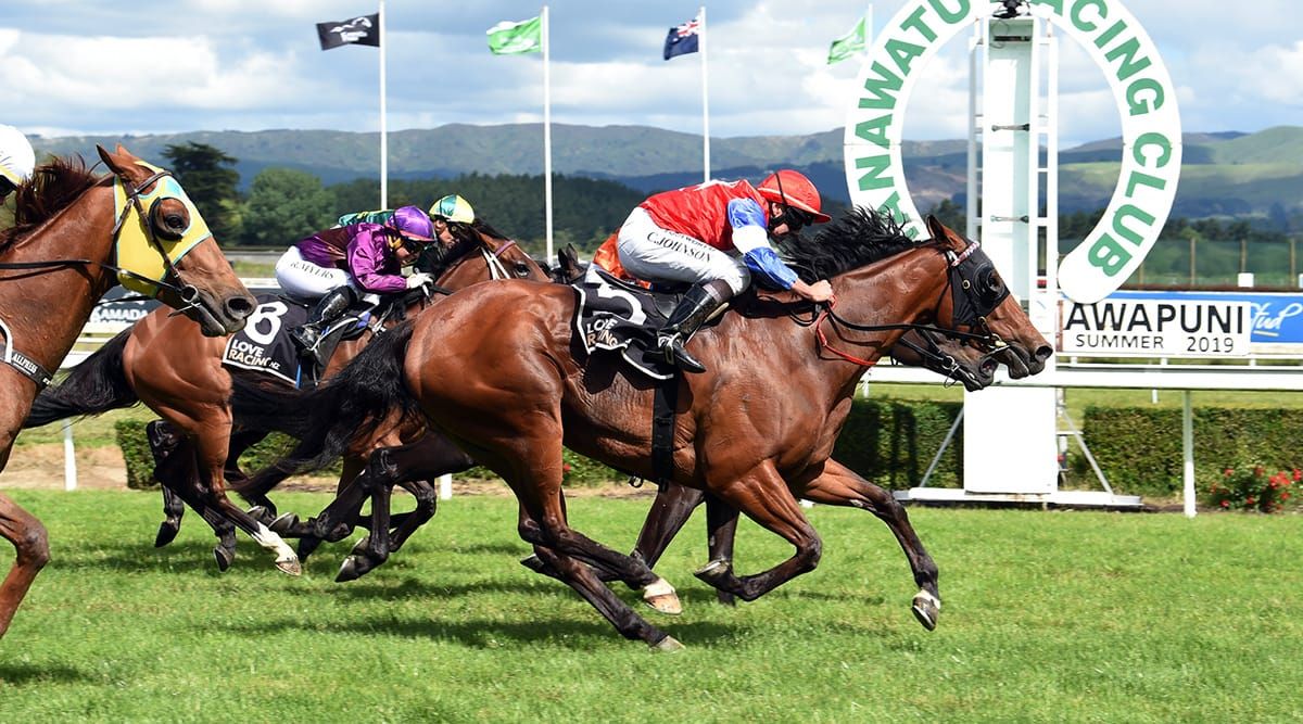 Southern raiders set to plunder more northern spoils