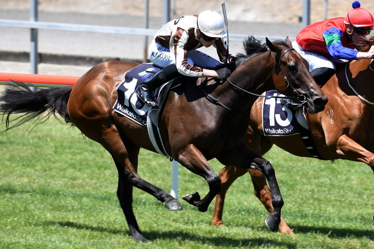 Unbeaten filly on trial for bigger things