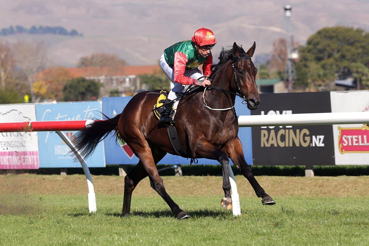 Loire primed for Trentham resumption