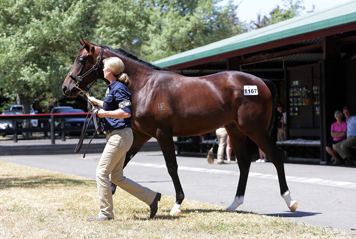 Chow scores himself a keeper