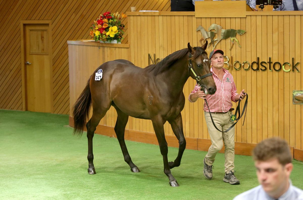 Lucrative morning for Trelawney