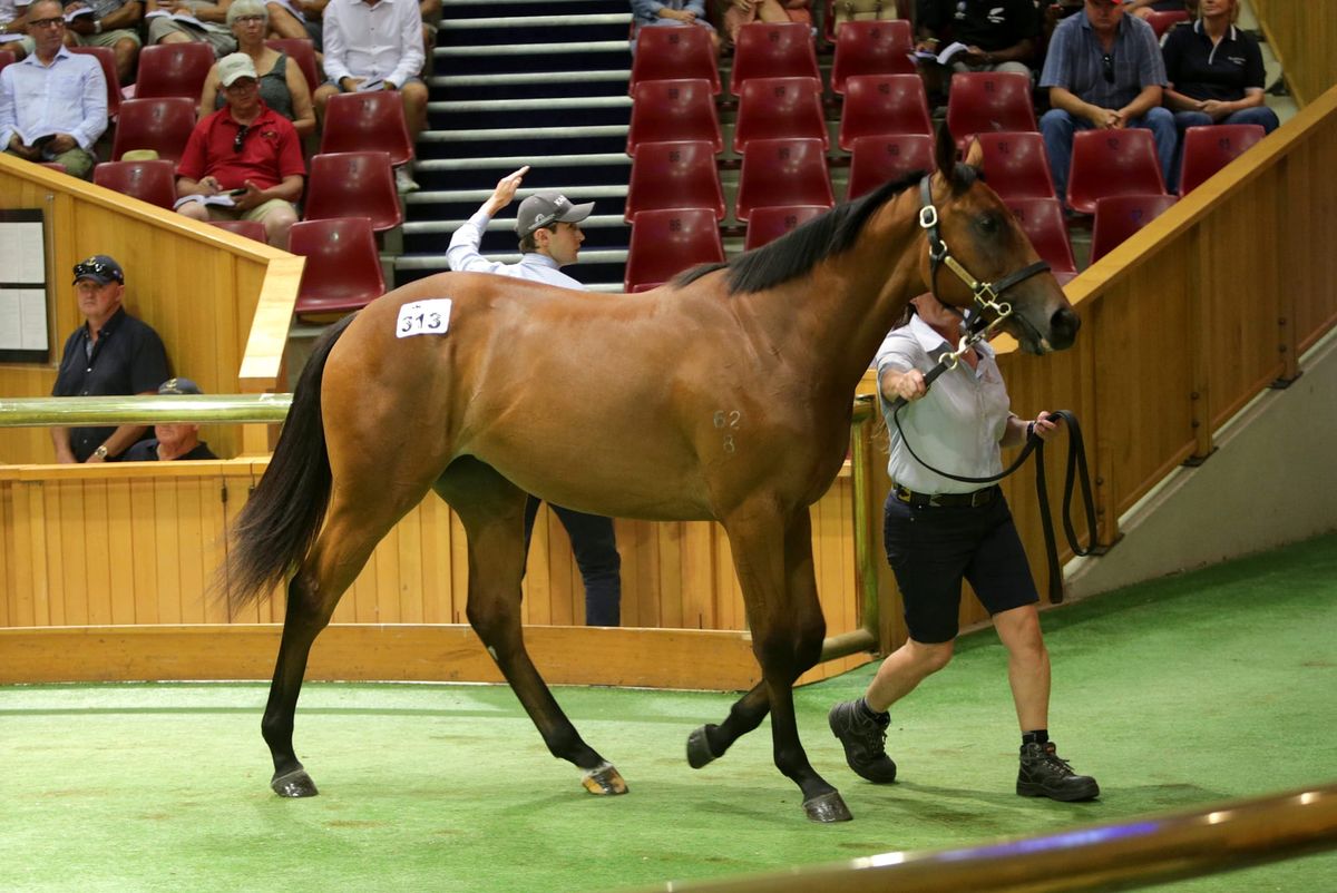 Generosity flows at Karaka