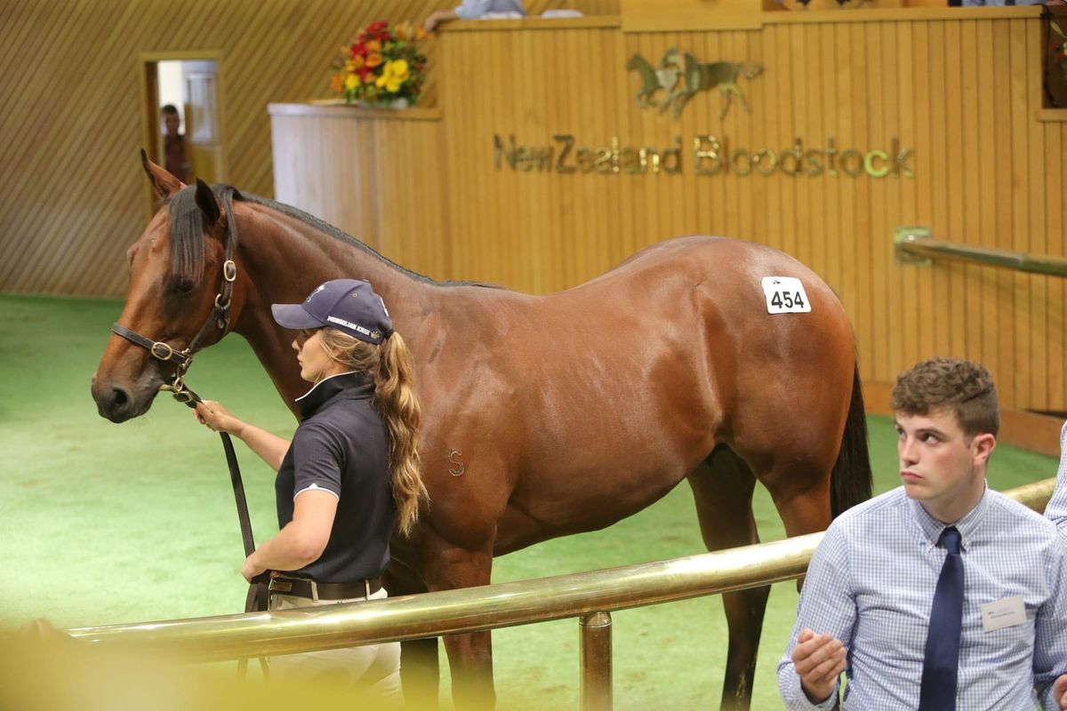 Windsor Park provide Day Two sale topper