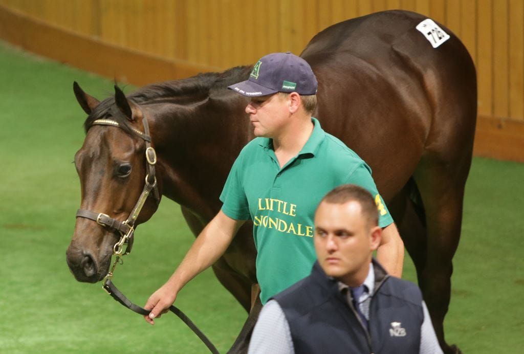 Per Incanto in demand at Karaka