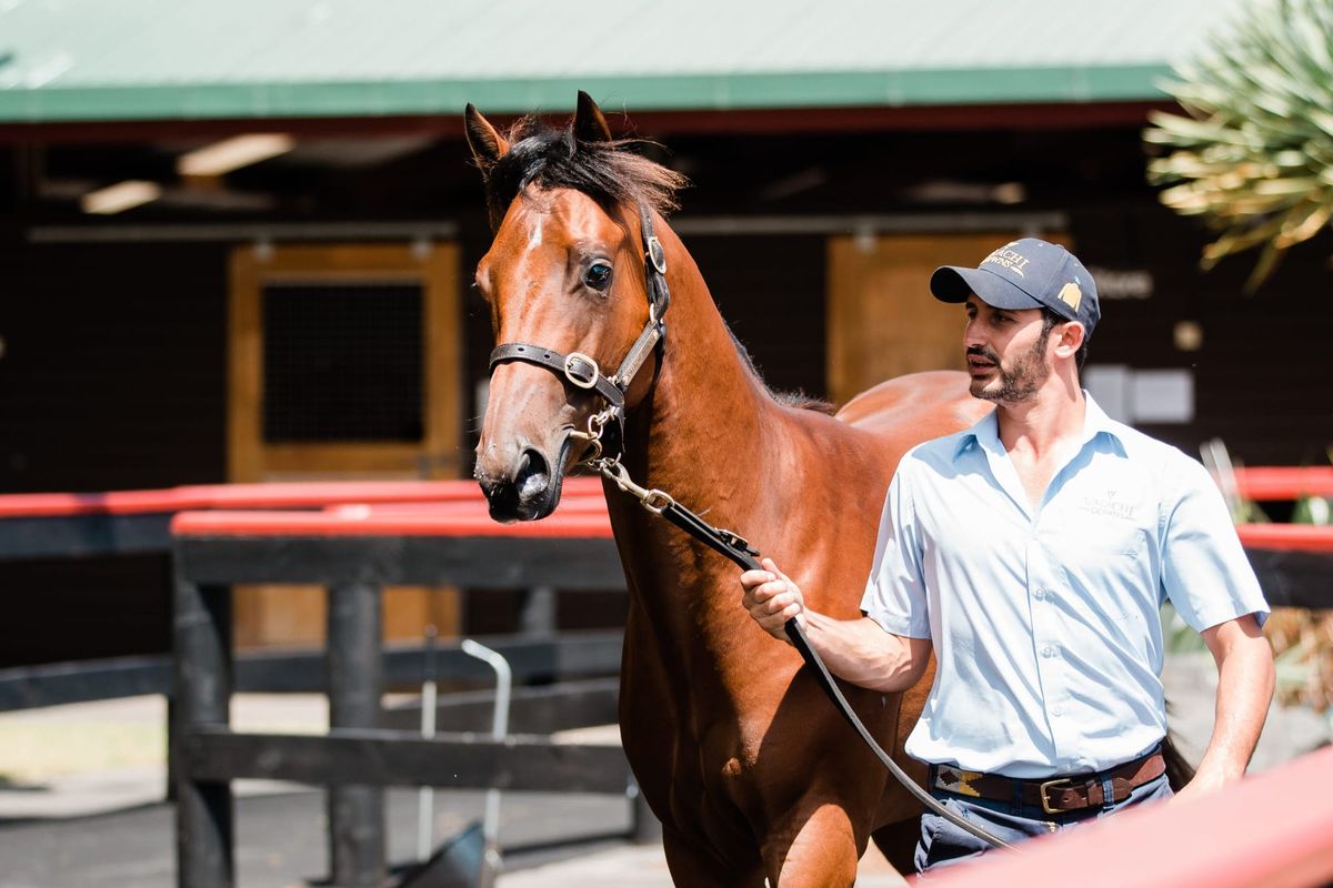 First Season Sires Shine on Day Two