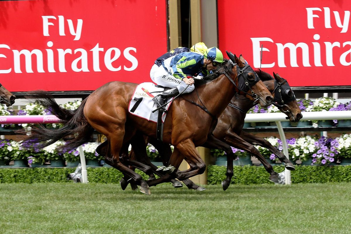 Luvaluva favourite to continue winning way