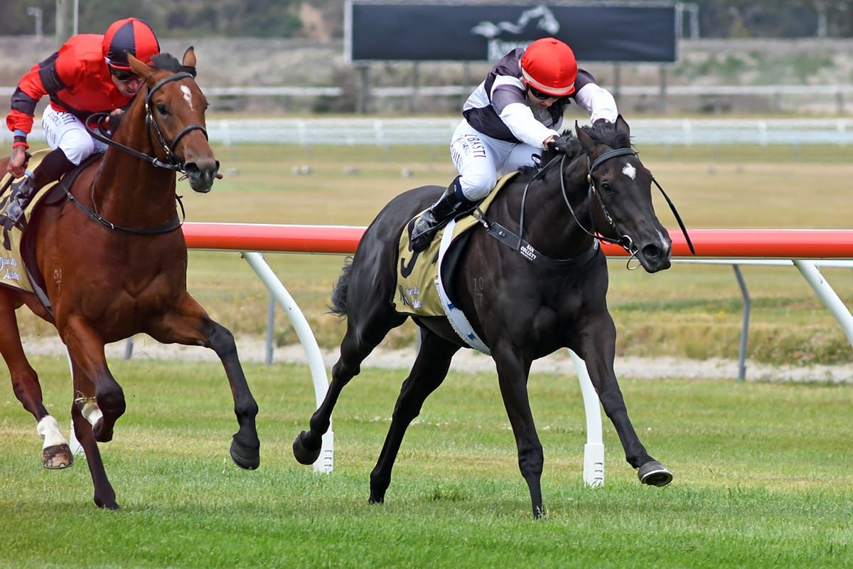 No denying Opalescence at Trentham