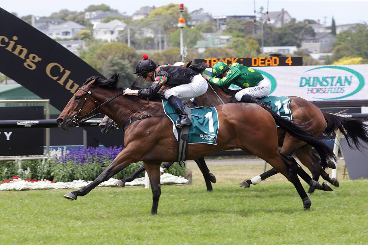McDonald magic in Stayers Final