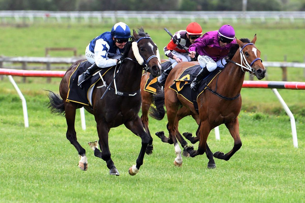 Piaggio poised to seal a Karaka Million start