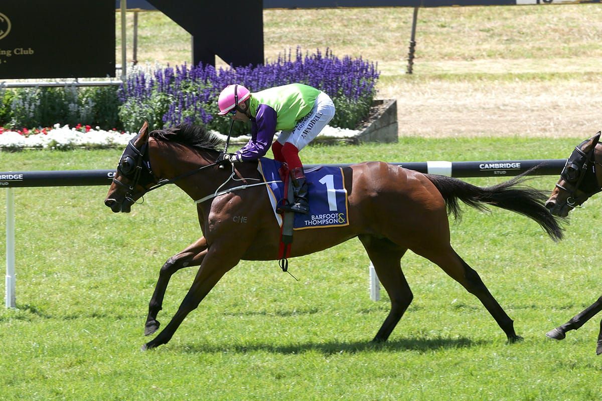 Campbell holds strong Derby hand