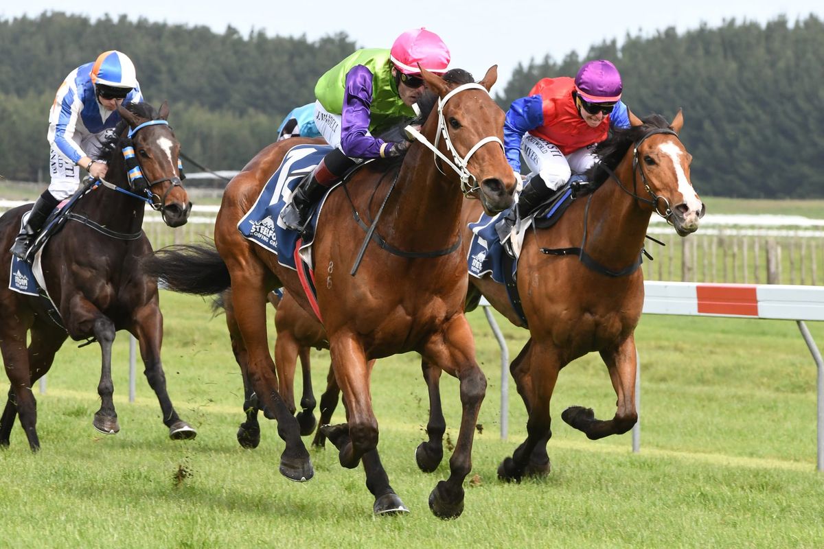 Final hit-out for Campbell trio