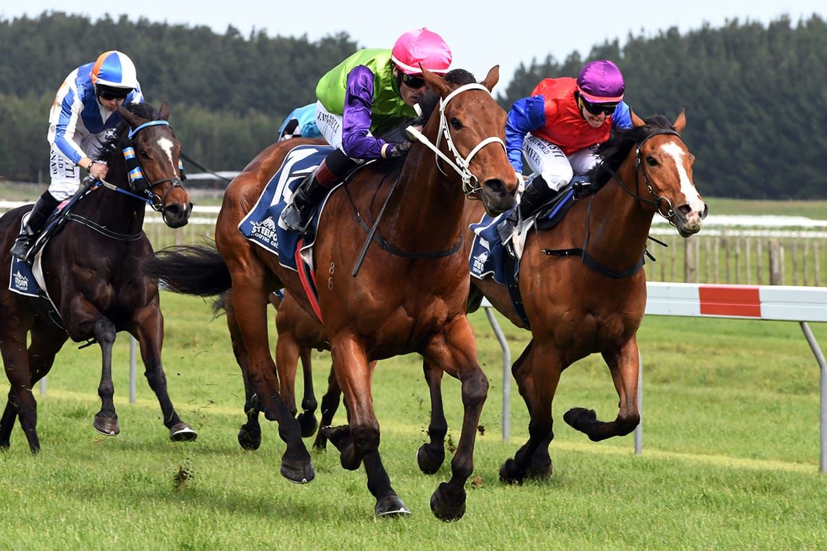 Final hit-out for Campbell trio