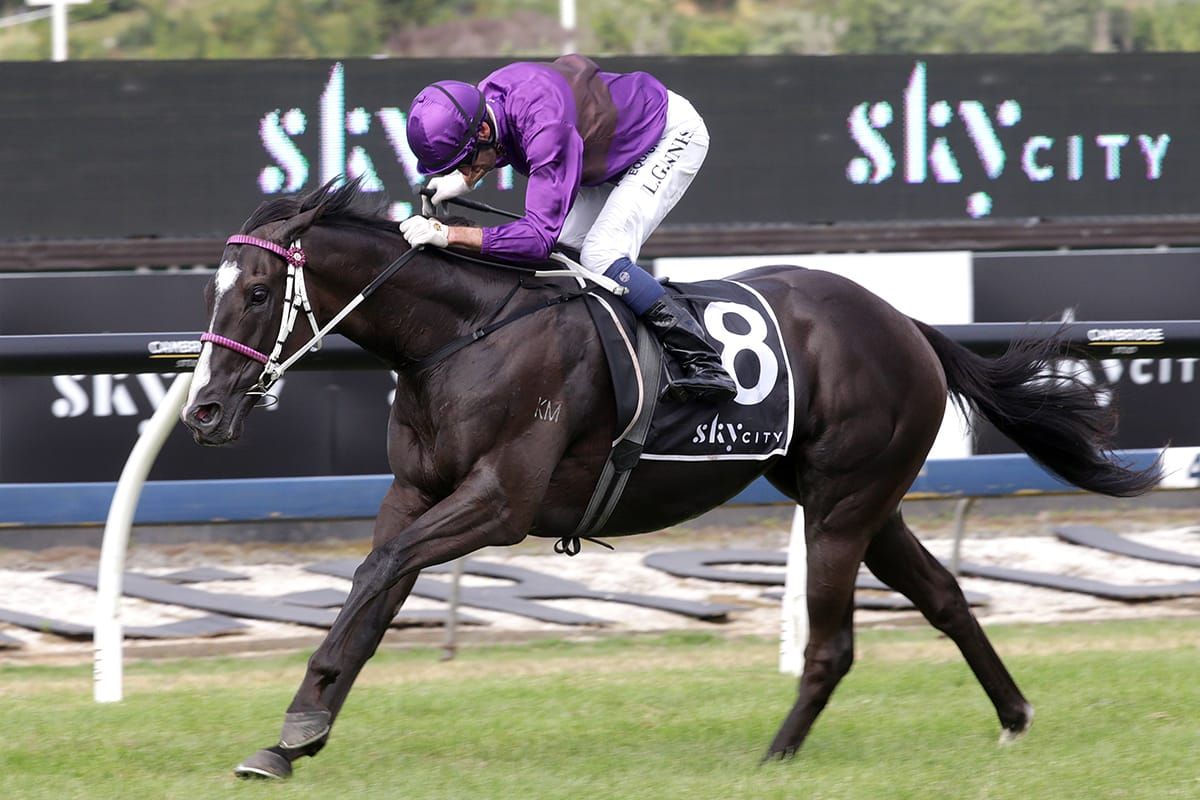 Starting blunder blights Ellerslie staying feature
