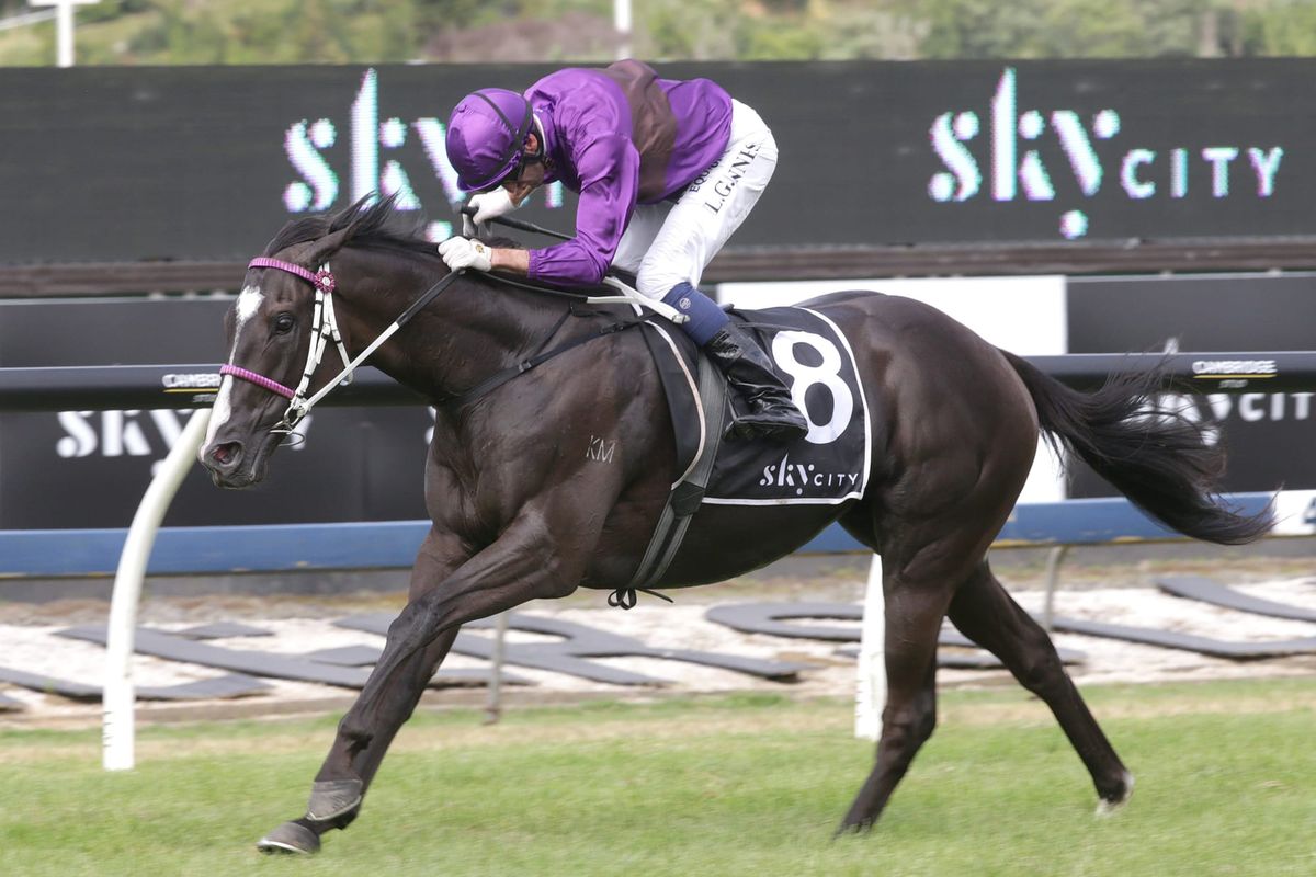 Taranaki Cup assignment for Platinum Invador