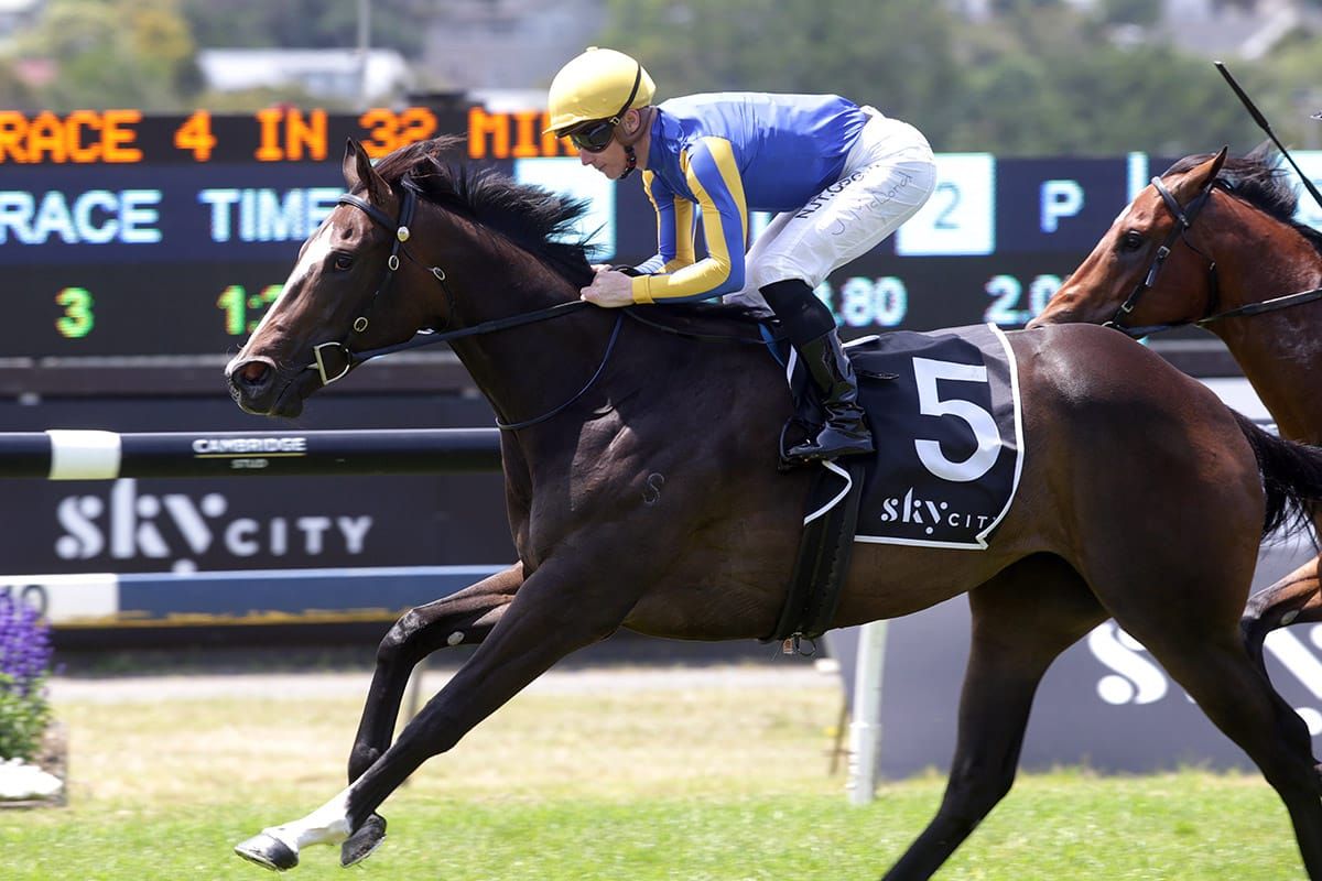 Play That Song set for Ellerslie Group One