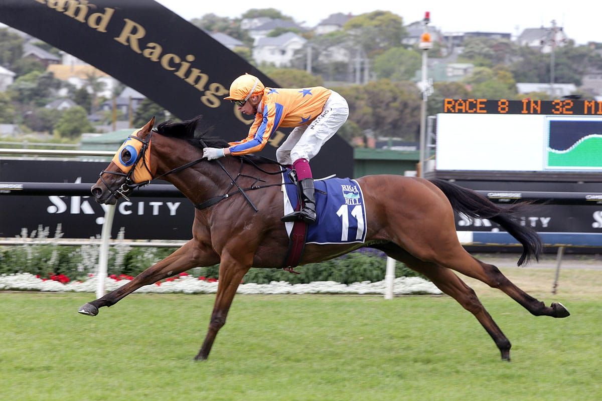 Favourite takes out Rich Hill Mile