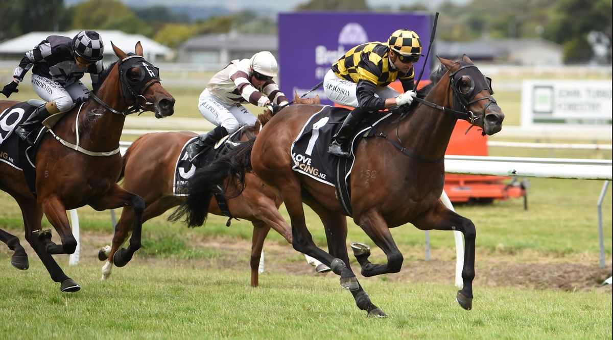 Class prevails at Awapuni