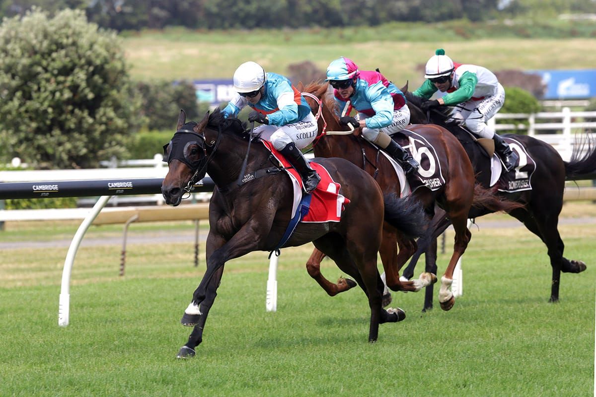 Riodini settling into Sydney life