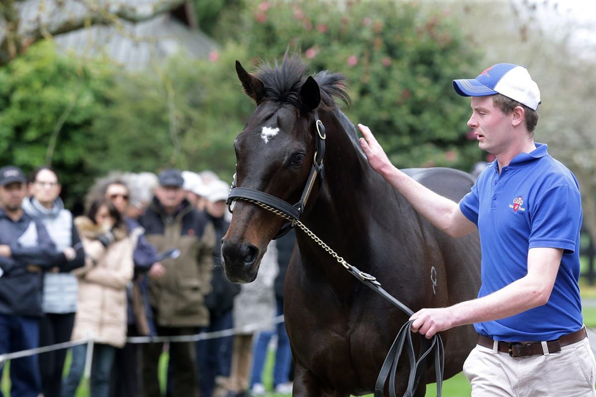 Bright future tipped for Frondeur