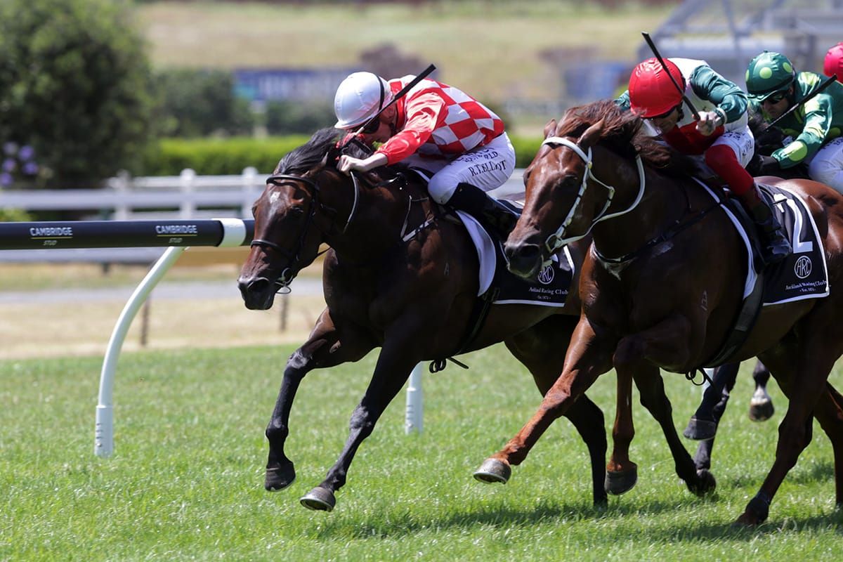 Early doubles for Marsh and Waddell at Ellerslie