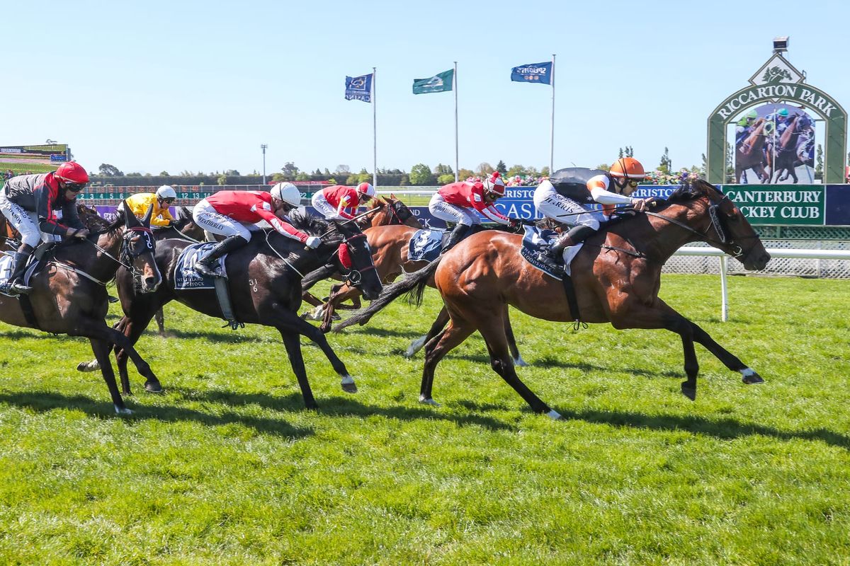 Sherwood Forest on target for Derby