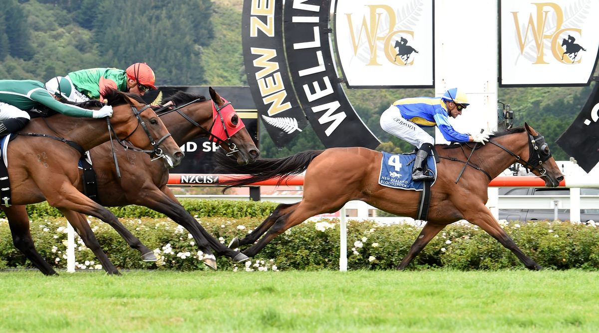 Bosson nails first Trentham feature on Showbeel