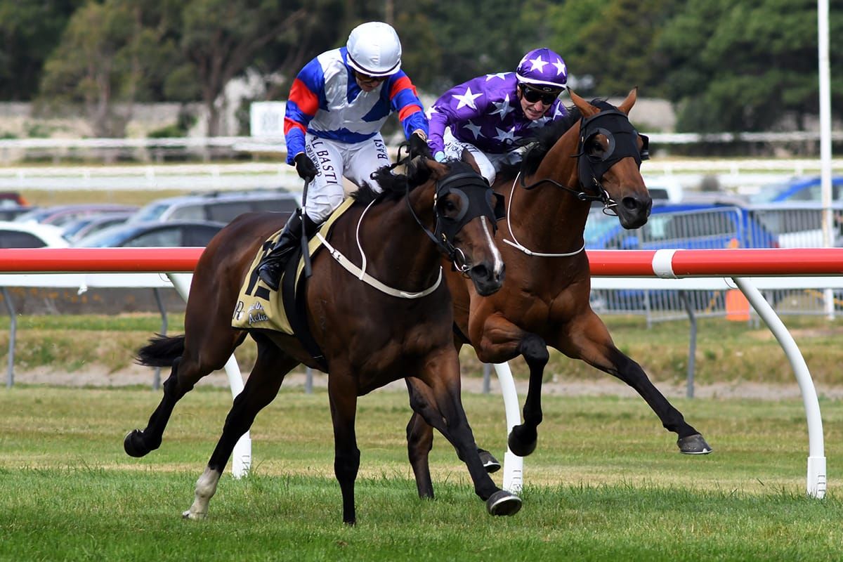 Soleseifei completes dream result in Wellington Cup